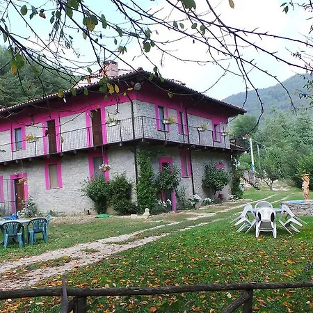 Rosatea