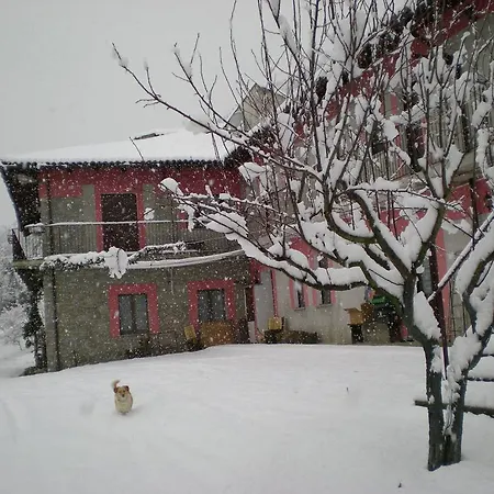 Appartement Rosatea