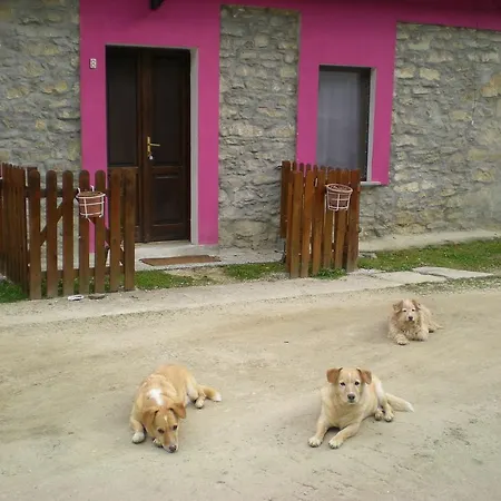 Rosatea Apartment